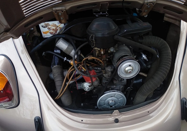Volkswagen Garbus cena 95000 przebieg: 86000, rok produkcji 1971 z Września małe 667